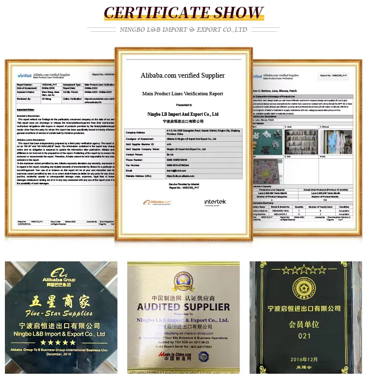 Wholesale Classic Exquisite Mesh Polyester Embroidered Lace For Women S Clothing